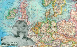 Hamsterdam Hamsterdam