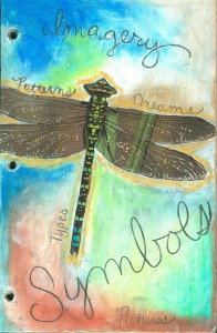 amanda's cover