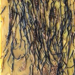 Extinguishing Seeds