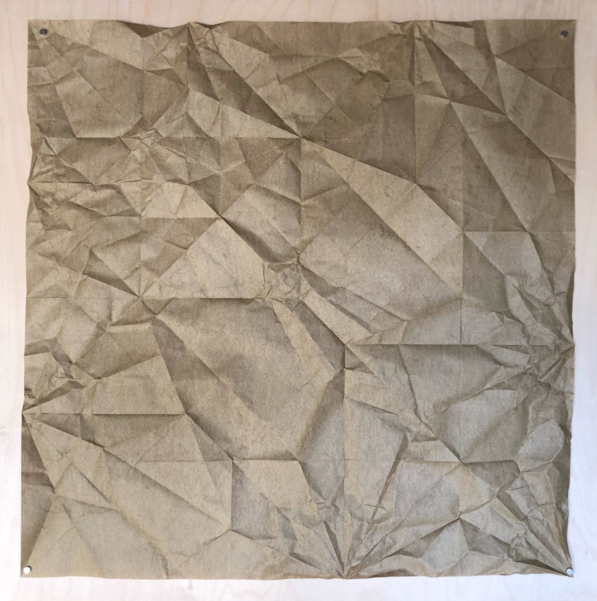 Bison, 70 x 70 cm crease pattern [John Montroll]